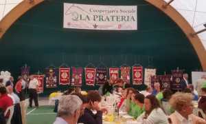 13723857 868979293235462 6009705764446248447 o