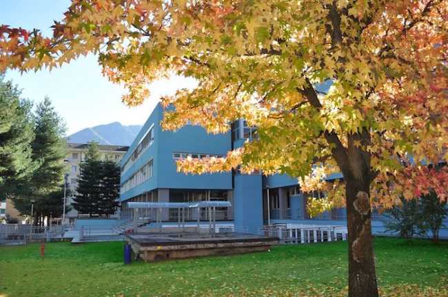 175495332 140579464740869 7515624658758072035 n