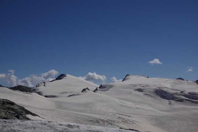 2024 08 10 Tete Blanche 2 768x512