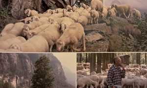 20250914 213107 copia