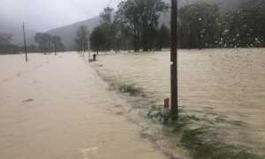 221B4180 FBA5 4146 BF38 9834B316269C