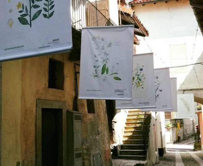 236507384 2923566517890052 2462180631822147858 n