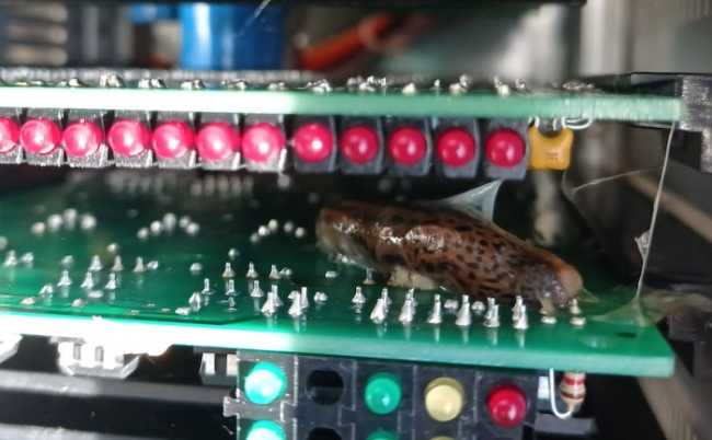 239055635 2986886818190163 1110863438767525736 n