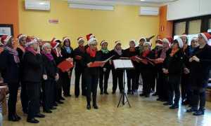 24291831 10208013834063688 3619568168560156558 o