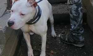 255069619 10224999070791452 1696988187436997081 n