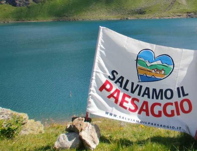 26231858 1755233291167951 4513384816316259164 o