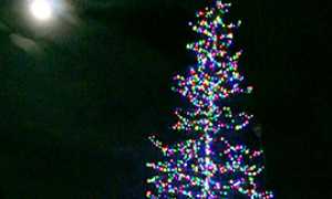 270.albero natale