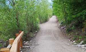 270ciclabile montecrestese