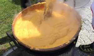 279148114 2057977101041431 3722139530919418141 n