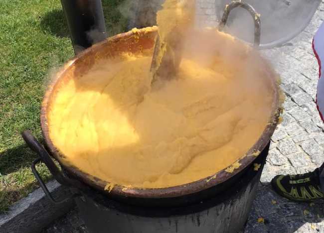 279148114 2057977101041431 3722139530919418141 n