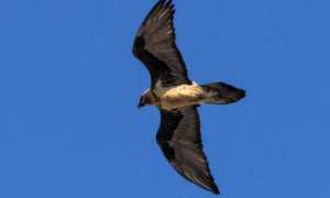 294684028 3258264814420054 7318224007627453369 n