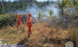 296124870 1606068453120343 5059665904916364575 n