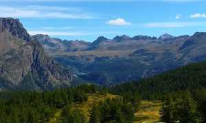 297023256 3266830376896831 2423962600613544642 n