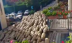 29c30743 d7d2 4ffb aabd b15ee86f0efe V2F 2025 09 07 12 24 25 232