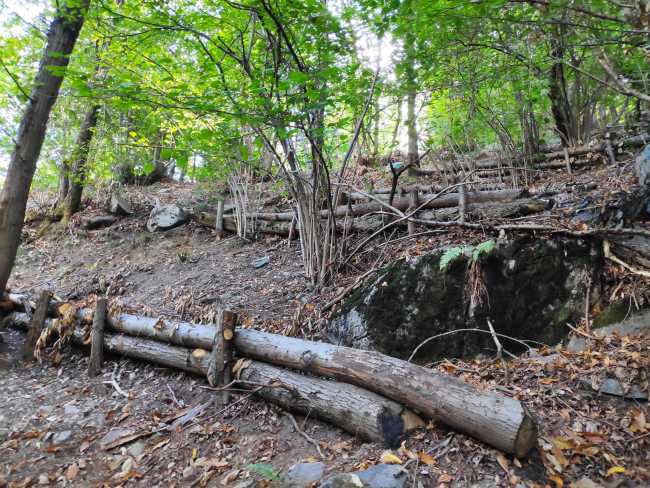 306999403 459865619513496 8335022973811346965 n