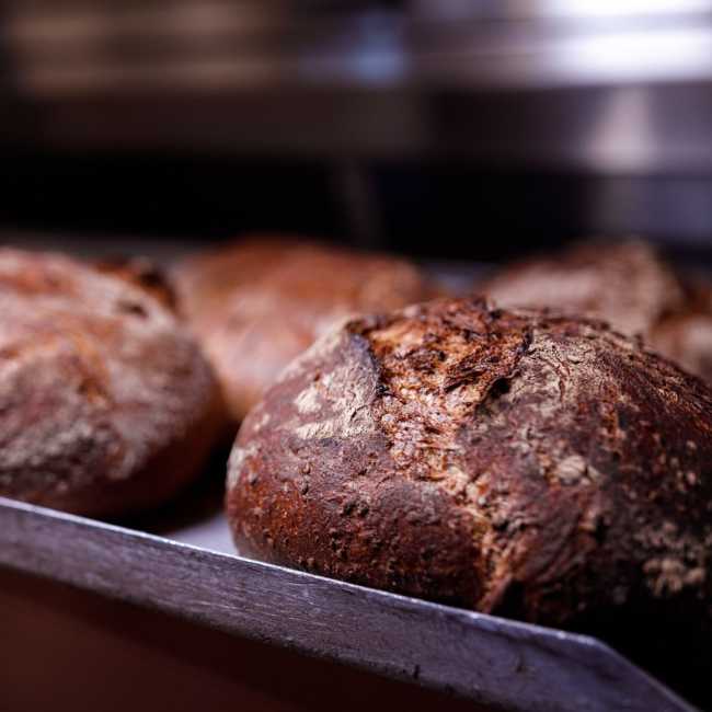 310815243 135506419231702 4842501840475437189 n