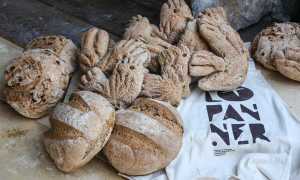 311721702 432031652371858 6290380137779351518 n