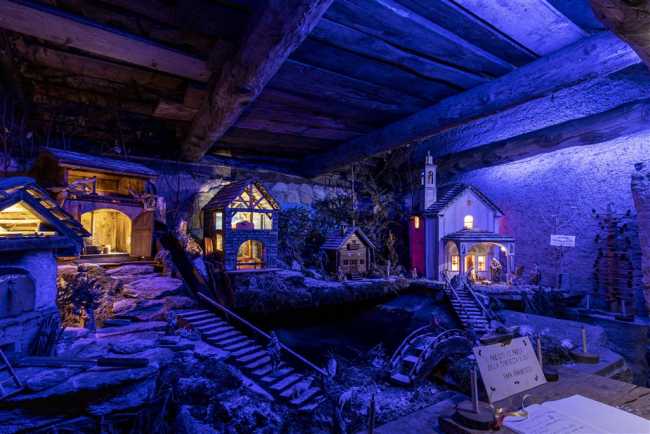 315025385 3349552821957919 4278812668582123413 n