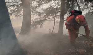 331282001 730050835290820 7467974495948513466 n