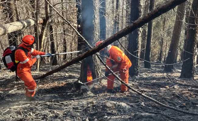 332502032 719913029507275 4657816296006356279 n