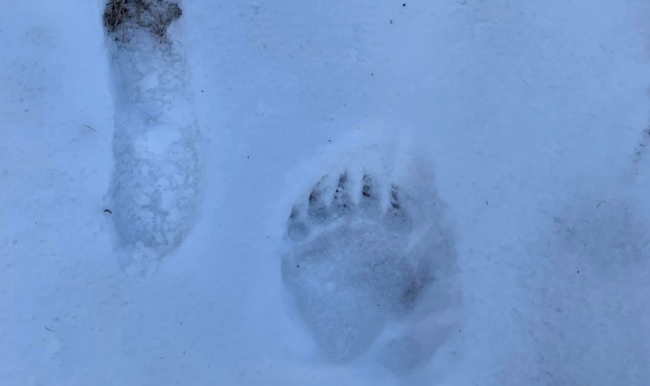 343736820 992550355505771 5635590946309332369 n