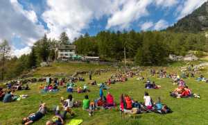 347618884 758790016043681 4108560202867036094 n