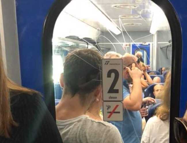 38086038 10156012095627763 6317059348023476224 n