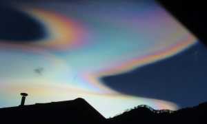 413824821 7238677719485082 1311902780159844437 n copia