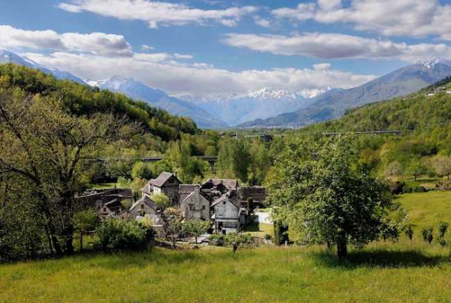 437148168 7562910150462417 8635405810169248082 n