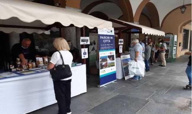 460552191 935194675313495 6441496477168066154 n