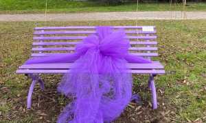 469950967 17939214758939428 4104790679669015944 n