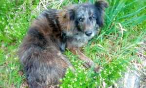 490543788 10228442084984071 3666583422424333744 n