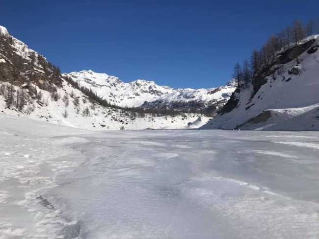 49193172 1193119977512440 4343782060335300608 n