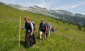 52500217 1343601215779776 7214232871756627968 n