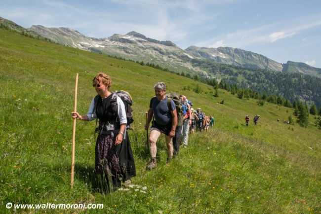 52500217 1343601215779776 7214232871756627968 n