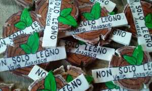 55609044 977740035752409 4665681307890614272 n