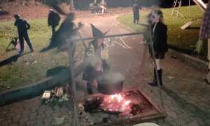 5586b825 12c5 4f61 be26 4e613f40370e