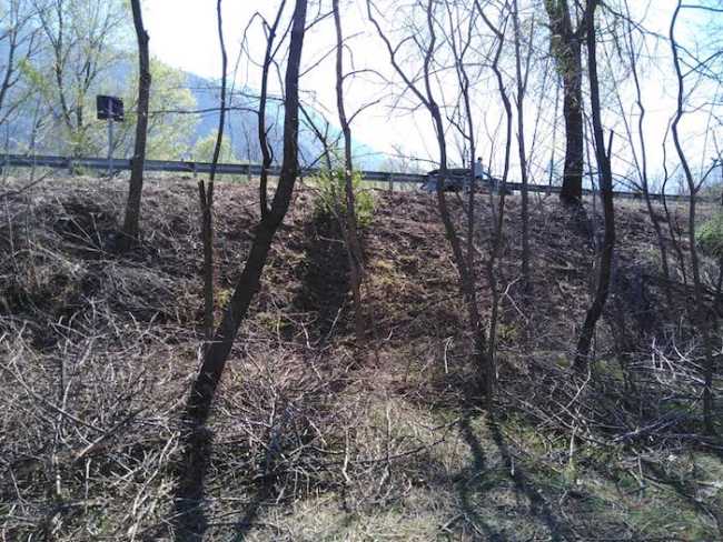 55937468 2185992588380892 1033542948744069120 n