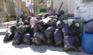 55944888 2185992478380903 6225228050972278784 n