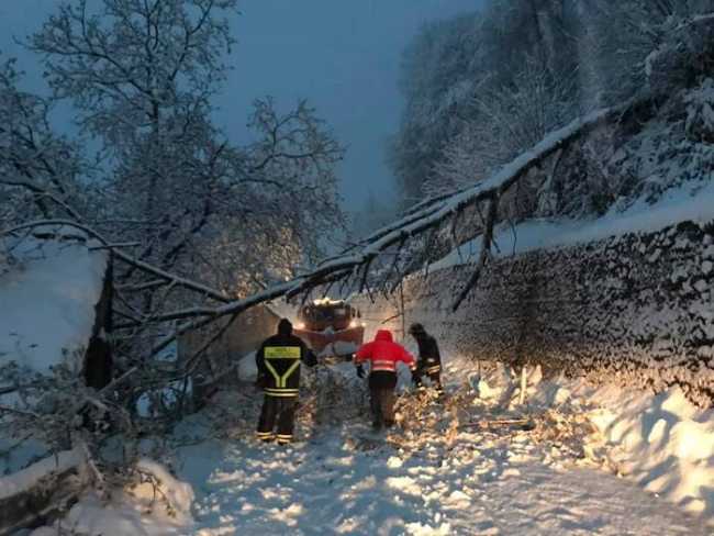 56340083 10213977613611309 7668131771581464576 n