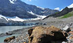 5f89a529 db12 9b21 6e79 1ecf8742e8f5