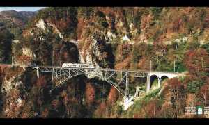 680426e7 c23a 417d 8da5 b4ac0db0ebce