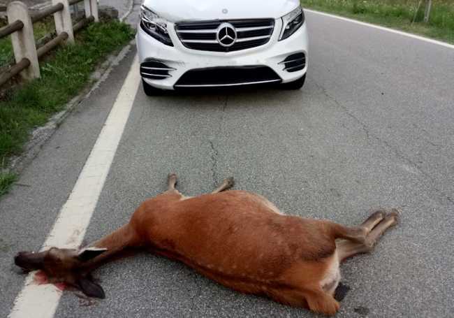 6DA5BC4A AF43 440C B7C3 72C7FC3F6461