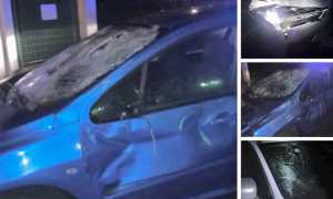 76D75BAE 6CB6 4DBC A47B 77E831A446BA