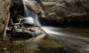 78249567 2857461457611446 2188019918706835456 o