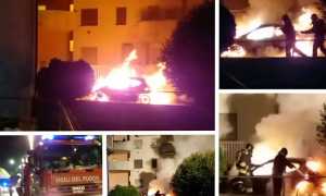 7C14A2C3 B00F 4E9C A235 B4D9DA1A2B4B