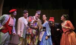 8. ARLECCHINO phSerenaPea
