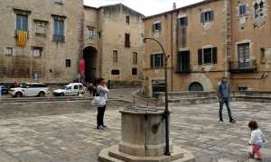 80875534 2930841533606771 7904685951631228928 o