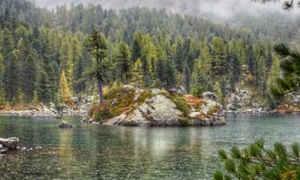 89D52DC6 07F6 4022 976D 2FD8677A30D5