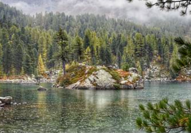 89D52DC6 07F6 4022 976D 2FD8677A30D5